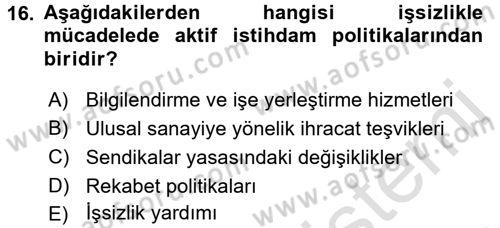 Çalışma Ekonomisi 2 Dersi 2016 - 2017 Yılı (Final) Dönem Sonu Sınav Soruları 16. Soru