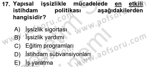 Çalışma Ekonomisi 2 Dersi 2016 - 2017 Yılı (Final) Dönem Sonu Sınav Soruları 17. Soru