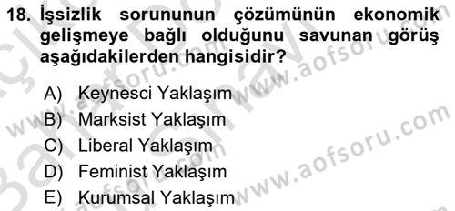 Çalışma Ekonomisi 2 Dersi 2016 - 2017 Yılı (Final) Dönem Sonu Sınav Soruları 18. Soru