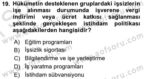 Çalışma Ekonomisi 2 Dersi 2016 - 2017 Yılı (Final) Dönem Sonu Sınav Soruları 19. Soru