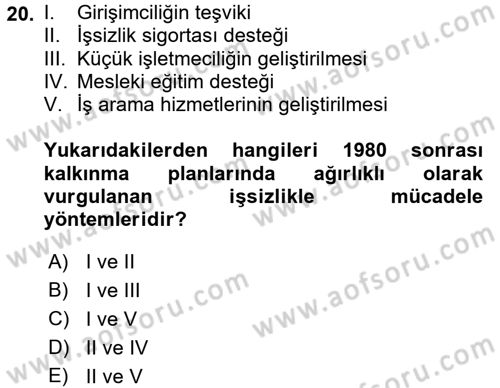 Çalışma Ekonomisi 2 Dersi 2016 - 2017 Yılı (Final) Dönem Sonu Sınav Soruları 20. Soru