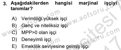 Çalışma Ekonomisi 2 Dersi 2016 - 2017 Yılı (Final) Dönem Sonu Sınav Soruları 3. Soru