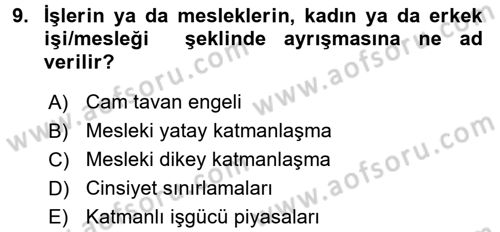 Çalışma Ekonomisi 2 Dersi 2016 - 2017 Yılı (Final) Dönem Sonu Sınav Soruları 9. Soru