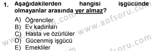Çalışma İlişkileri Dersi 2012 - 2013 Yılı (Final) Dönem Sonu Sınav Soruları 1. Soru