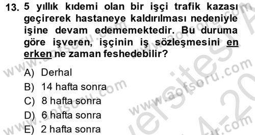Çalışma İlişkileri Dersi 2014 - 2015 Yılı Tek Ders Sınav Soruları 13. Soru