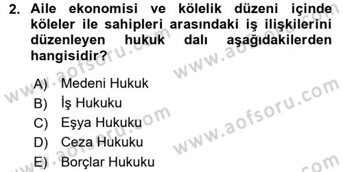 Çalışma İlişkileri Dersi 2015 - 2016 Yılı (Final) Dönem Sonu Sınav Soruları 2. Soru