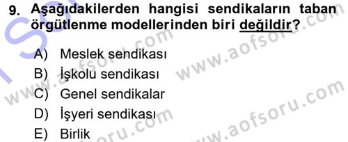 Çalışma İlişkileri Dersi 2015 - 2016 Yılı (Final) Dönem Sonu Sınav Soruları 9. Soru