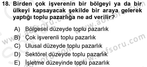 Çalışma İlişkileri Dersi 2016 - 2017 Yılı (Final) Dönem Sonu Sınav Soruları 18. Soru