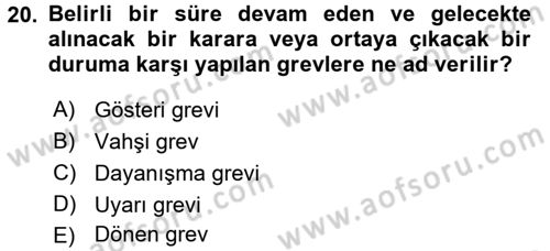 Çalışma İlişkileri Dersi 2016 - 2017 Yılı (Final) Dönem Sonu Sınav Soruları 20. Soru