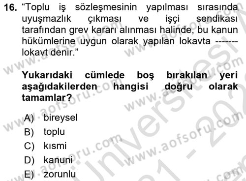 Çalışma İlişkileri Dersi 2021 - 2022 Yılı (Final) Dönem Sonu Sınav Soruları 16. Soru