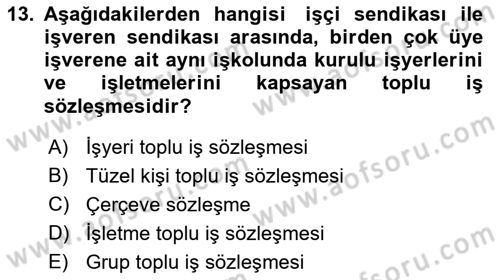Çalışma İlişkileri Dersi 2022 - 2023 Yılı (Final) Dönem Sonu Sınav Soruları 13. Soru