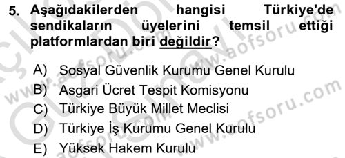 Çalışma İlişkileri Dersi 2022 - 2023 Yılı (Final) Dönem Sonu Sınav Soruları 5. Soru