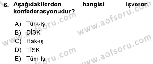 Çalışma İlişkileri Dersi 2022 - 2023 Yılı (Final) Dönem Sonu Sınav Soruları 6. Soru