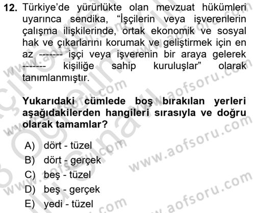 Çalışma İlişkileri Dersi 2022 - 2023 Yılı Yaz Okulu Sınav Soruları 12. Soru