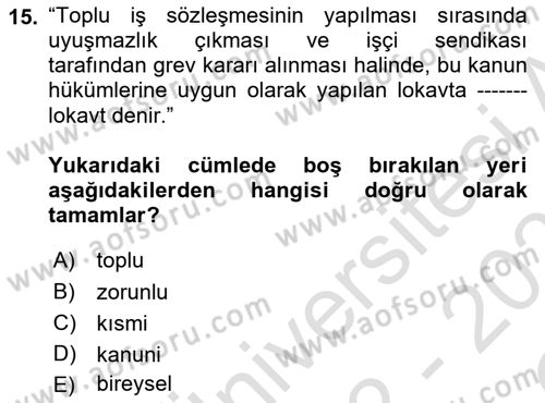 Çalışma İlişkileri Dersi 2022 - 2023 Yılı Yaz Okulu Sınav Soruları 15. Soru