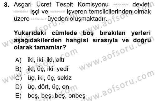 Çalışma İlişkileri Dersi 2022 - 2023 Yılı Yaz Okulu Sınav Soruları 8. Soru