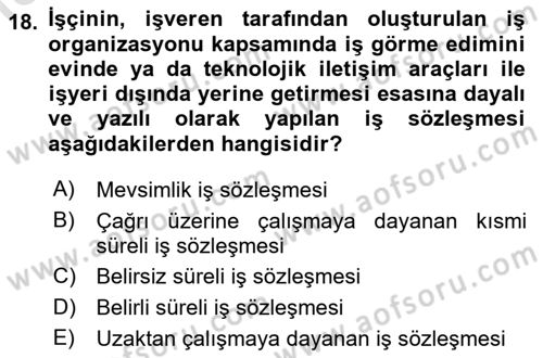 Çalışma İlişkileri Dersi 2023 - 2024 Yılı (Vize) Ara Sınav Soruları 18. Soru