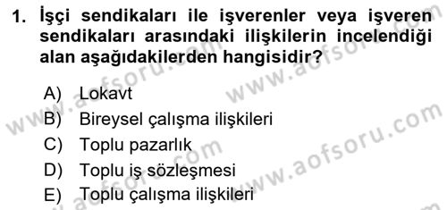 Çalışma İlişkileri Dersi 2023 - 2024 Yılı (Final) Dönem Sonu Sınav Soruları 1. Soru