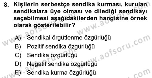 Çalışma İlişkileri Dersi 2023 - 2024 Yılı (Final) Dönem Sonu Sınav Soruları 8. Soru
