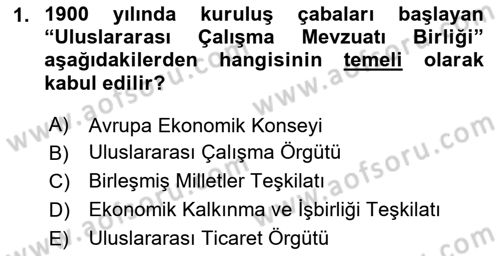Çalışma İlişkileri Dersi 2023 - 2024 Yılı Yaz Okulu Sınav Soruları 1. Soru