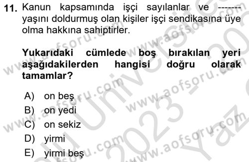 Çalışma İlişkileri Dersi 2023 - 2024 Yılı Yaz Okulu Sınav Soruları 11. Soru