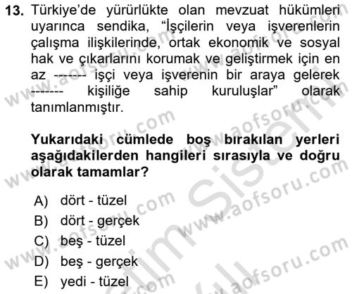 Çalışma İlişkileri Dersi 2023 - 2024 Yılı Yaz Okulu Sınav Soruları 13. Soru