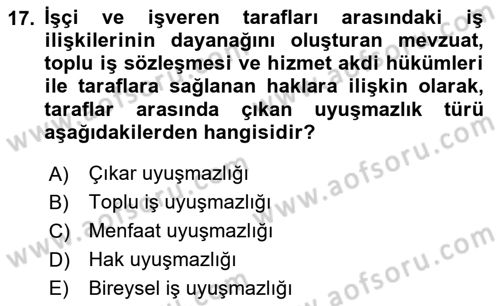 Çalışma İlişkileri Dersi 2023 - 2024 Yılı Yaz Okulu Sınav Soruları 17. Soru
