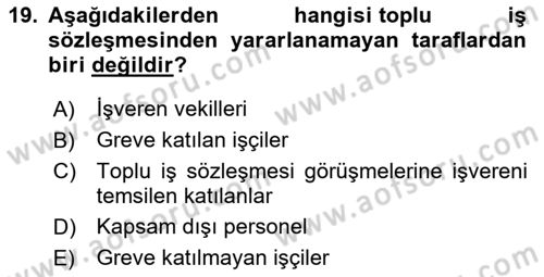 Çalışma İlişkileri Dersi 2023 - 2024 Yılı Yaz Okulu Sınav Soruları 19. Soru
