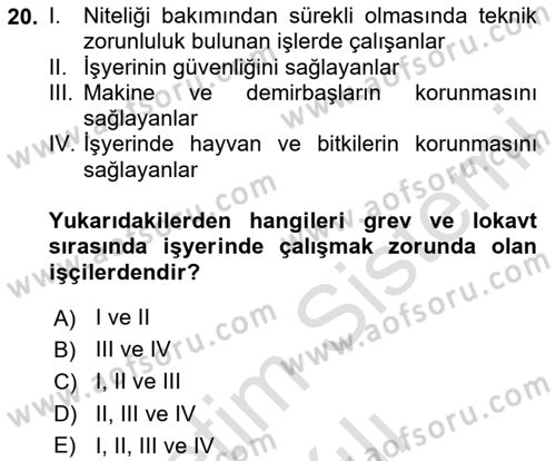 Çalışma İlişkileri Dersi 2023 - 2024 Yılı Yaz Okulu Sınav Soruları 20. Soru