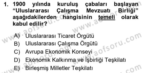 Çalışma İlişkileri Dersi 2024 - 2025 Yılı (Vize) Ara Sınav Soruları 1. Soru