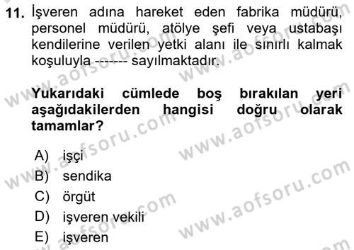 Çalışma İlişkileri Dersi 2024 - 2025 Yılı (Vize) Ara Sınav Soruları 11. Soru