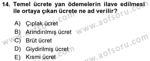 Çalışma İlişkileri Dersi 2024 - 2025 Yılı (Vize) Ara Sınav Soruları 14. Soru