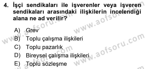 Çalışma İlişkileri Dersi 2024 - 2025 Yılı (Vize) Ara Sınav Soruları 4. Soru