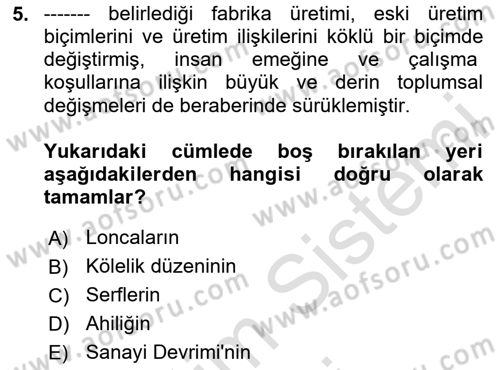 Çalışma İlişkileri Dersi 2024 - 2025 Yılı (Vize) Ara Sınav Soruları 5. Soru