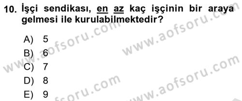 Çalışma İlişkileri Dersi 2024 - 2025 Yılı (Final) Dönem Sonu Sınav Soruları 10. Soru