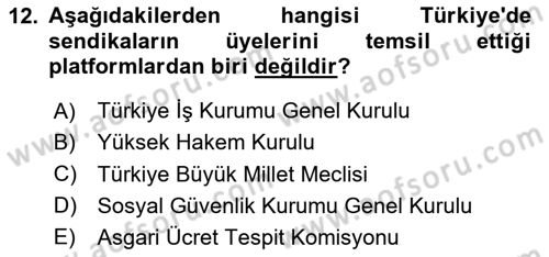 Çalışma İlişkileri Dersi 2024 - 2025 Yılı (Final) Dönem Sonu Sınav Soruları 12. Soru