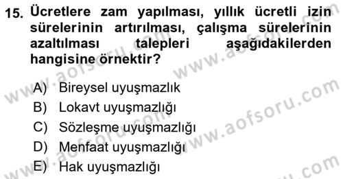 Çalışma İlişkileri Dersi 2024 - 2025 Yılı (Final) Dönem Sonu Sınav Soruları 15. Soru