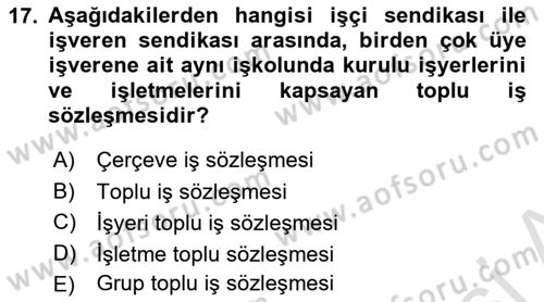 Çalışma İlişkileri Dersi 2024 - 2025 Yılı (Final) Dönem Sonu Sınav Soruları 17. Soru