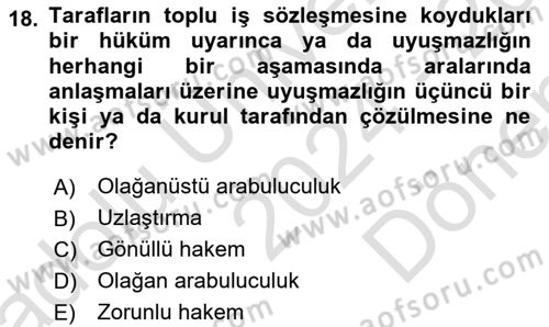 Çalışma İlişkileri Dersi 2024 - 2025 Yılı (Final) Dönem Sonu Sınav Soruları 18. Soru