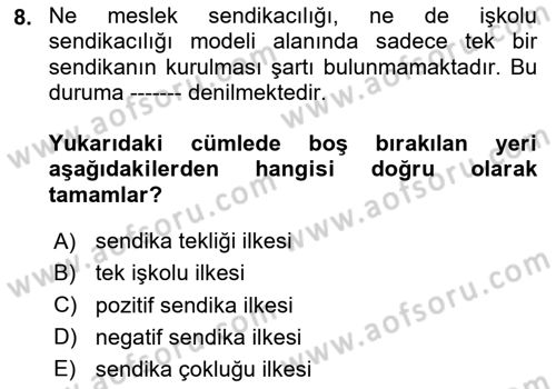 Çalışma İlişkileri Dersi 2024 - 2025 Yılı (Final) Dönem Sonu Sınav Soruları 8. Soru
