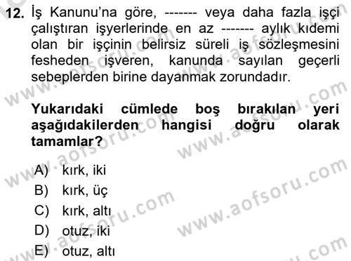 Çalışma İlişkileri Dersi 2024 - 2025 Yılı Yaz Okulu Sınav Soruları 12. Soru