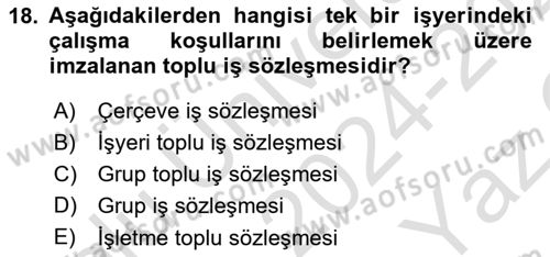 Çalışma İlişkileri Dersi 2024 - 2025 Yılı Yaz Okulu Sınav Soruları 18. Soru