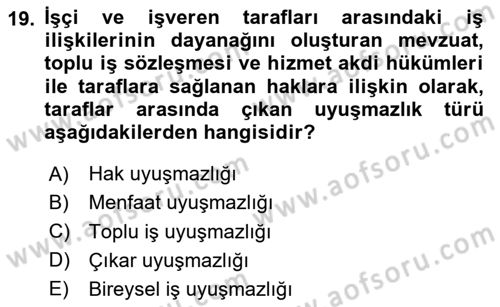 Çalışma İlişkileri Dersi 2024 - 2025 Yılı Yaz Okulu Sınav Soruları 19. Soru