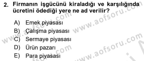 Çalışma İlişkileri Dersi 2024 - 2025 Yılı Yaz Okulu Sınav Soruları 2. Soru
