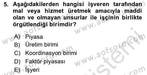 Çalışma İlişkileri Dersi 2024 - 2025 Yılı Yaz Okulu Sınav Soruları 5. Soru