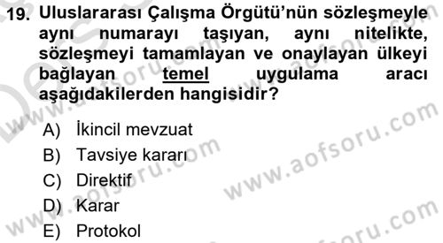 İş Sağlığı ve Güvenliği Dersi 2018 - 2019 Yılı 3 Ders Sınav Soruları 19. Soru