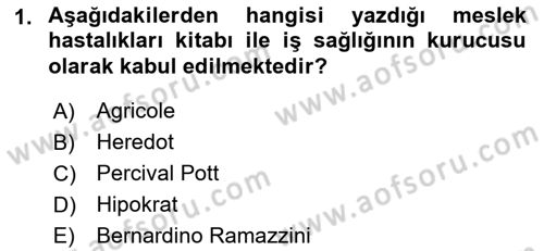 İş Sağlığı ve Güvenliği Dersi 2018 - 2019 Yılı (Final) Dönem Sonu Sınav Soruları 1. Soru