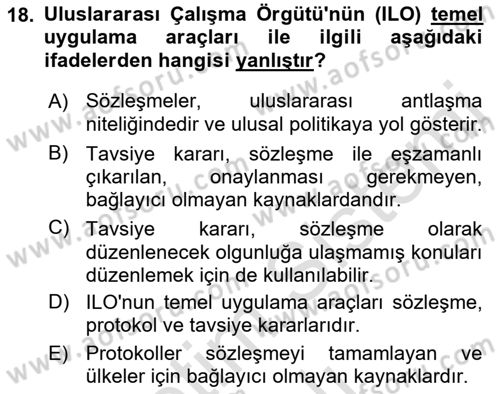 İş Sağlığı ve Güvenliği Dersi 2022 - 2023 Yılı Yaz Okulu Sınav Soruları 18. Soru
