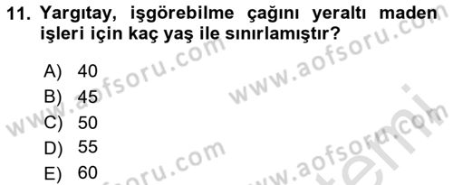 İş Sağlığı ve Güvenliği Dersi 2023 - 2024 Yılı Yaz Okulu Sınav Soruları 11. Soru
