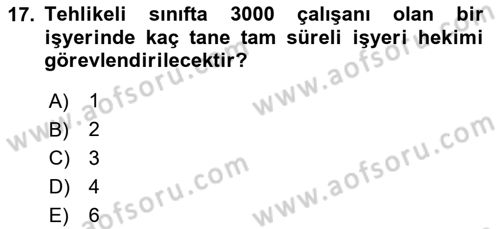 İş Sağlığı ve Güvenliği Dersi 2024 - 2025 Yılı (Final) Dönem Sonu Sınav Soruları 17. Soru